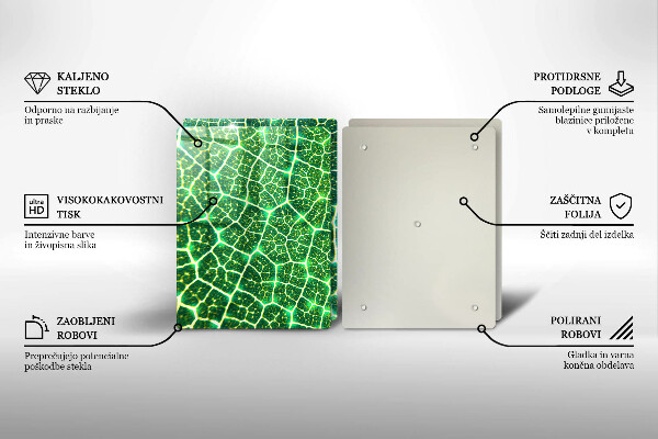 Tocător sticlă Structura frunzei