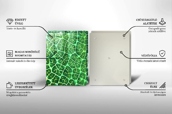 Tocător sticlă Structura frunzei