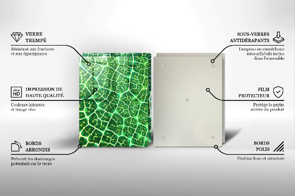 Tocător sticlă Structura frunzei