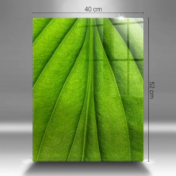 Tocător de bucătărie Frunză de nervură natură