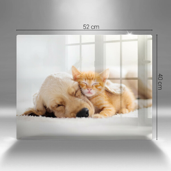 Tocător din sticlă Animale câine și pisică