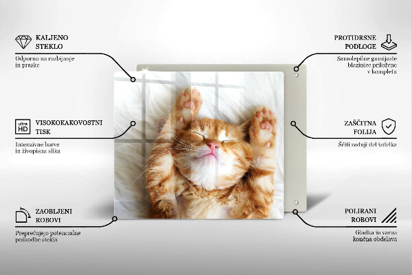 Tocător din sticlă Pisicuță drăguță