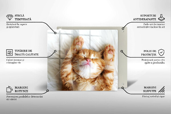 Tocător din sticlă Pisicuță drăguță