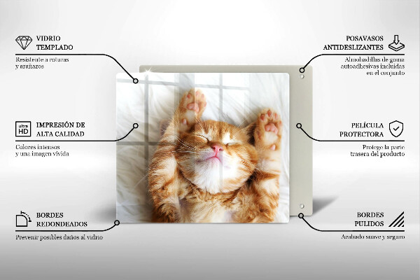 Tocător din sticlă Pisicuță drăguță