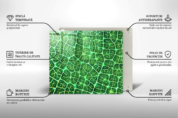 Tocător de bucătărie Structura frunzei
