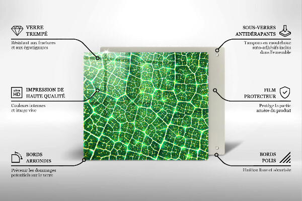 Tocător de bucătărie Structura frunzei