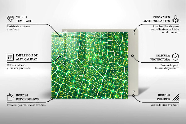 Tocător de bucătărie Structura frunzei