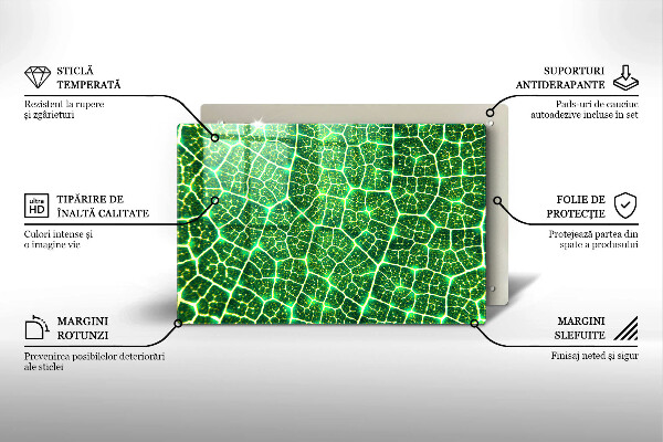 Tocător sticlă Structura frunzei
