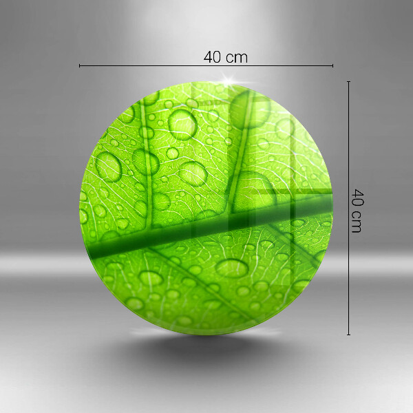 Tocător de bucătărie Prim-plan al unei frunze