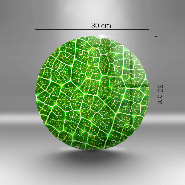 Tocător din sticlă Structura frunzei