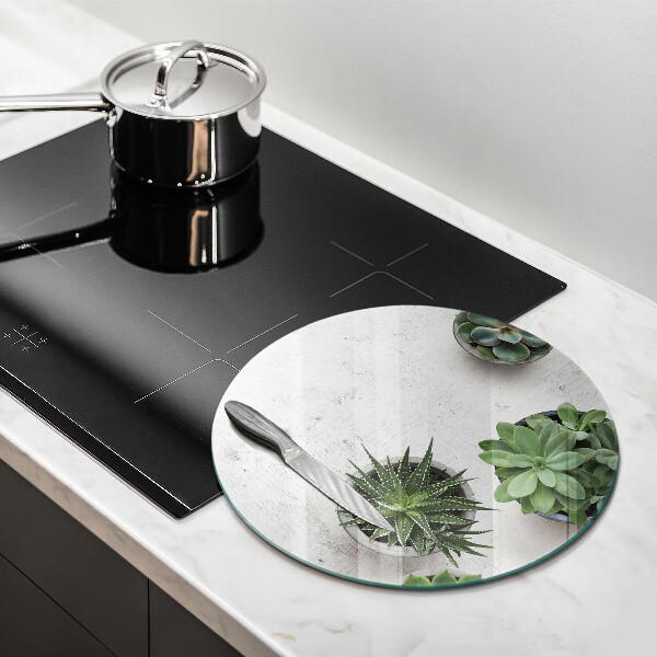 Tocător de bucătărie Suculente pe beton