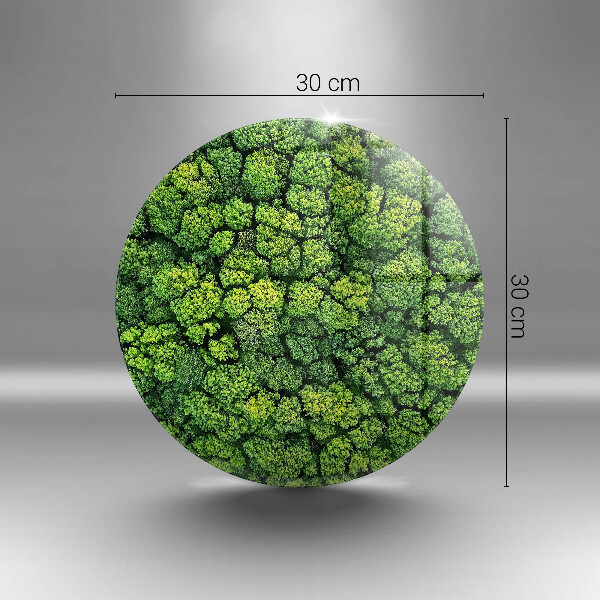 Tocător de bucătărie Plantă de muşchi din natură