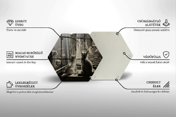 Tocător de bucătărie Orașul pisicilor și fereastra