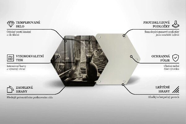 Tocător de bucătărie Orașul pisicilor și fereastra