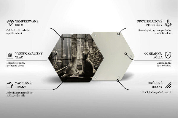 Tocător de bucătărie Orașul pisicilor și fereastra