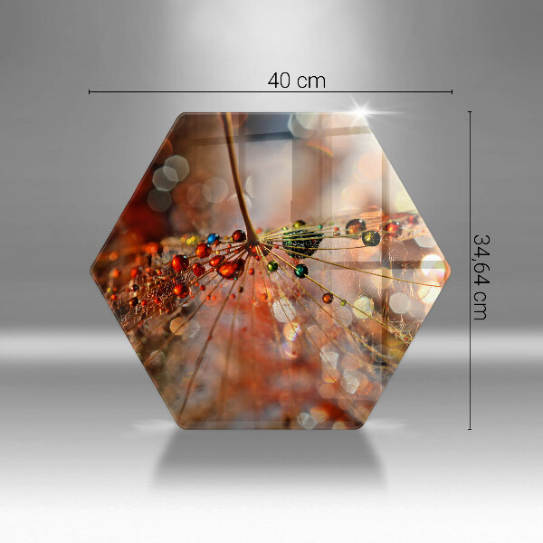 Tocător de bucătărie Păpădie umedă