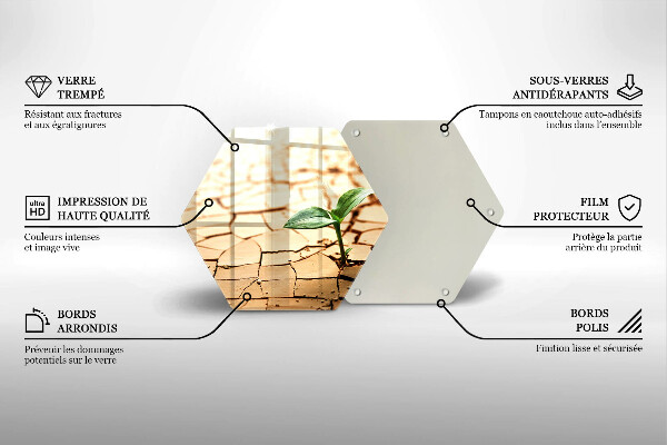 Tocător de bucătărie O plantă singuratică