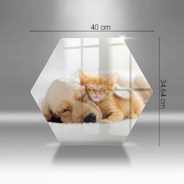 Tocător sticlă Animale câine și pisică