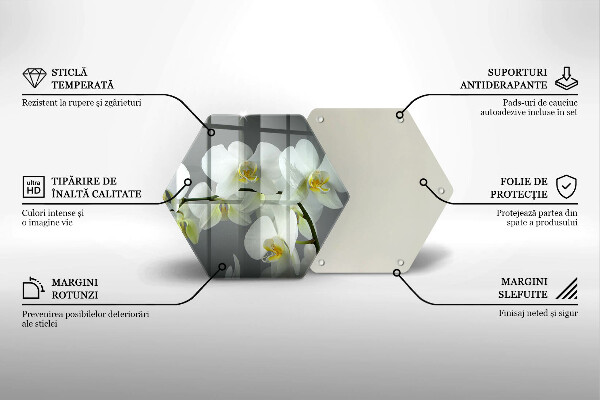 Tocător de bucătărie Flori albe de orhidee
