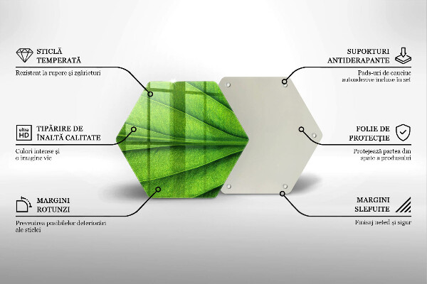 Tocător de bucătărie Frunză de nervură natură