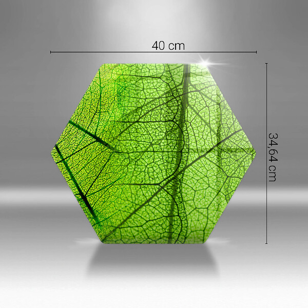 Tocător de bucătărie Venele frunzelor naturii