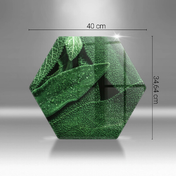 Tocător de bucătărie Frunzele plantei