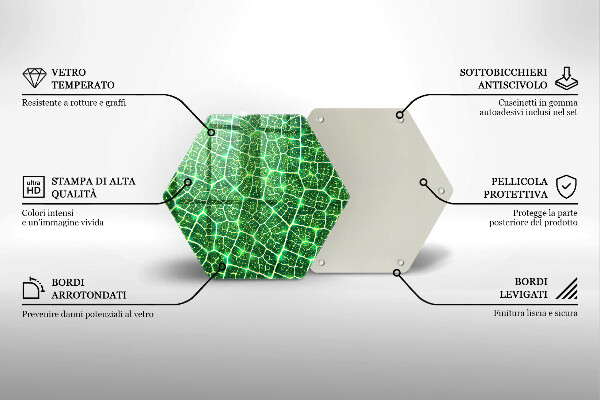 Tocător sticlă Structura frunzei