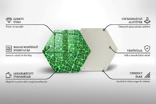 Tocător sticlă Structura frunzei