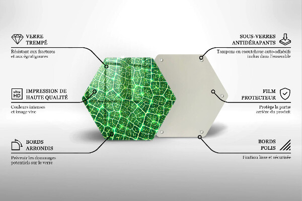 Tocător sticlă Structura frunzei