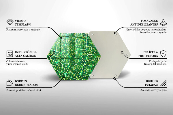 Tocător sticlă Structura frunzei