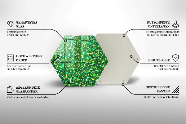 Tocător sticlă Structura frunzei