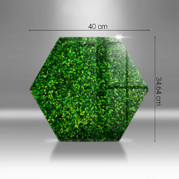 Tocător sticlă Planta cu frunze mici