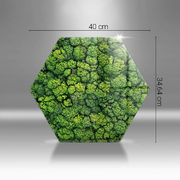 Tocător de bucătărie Plantă de muşchi din natură