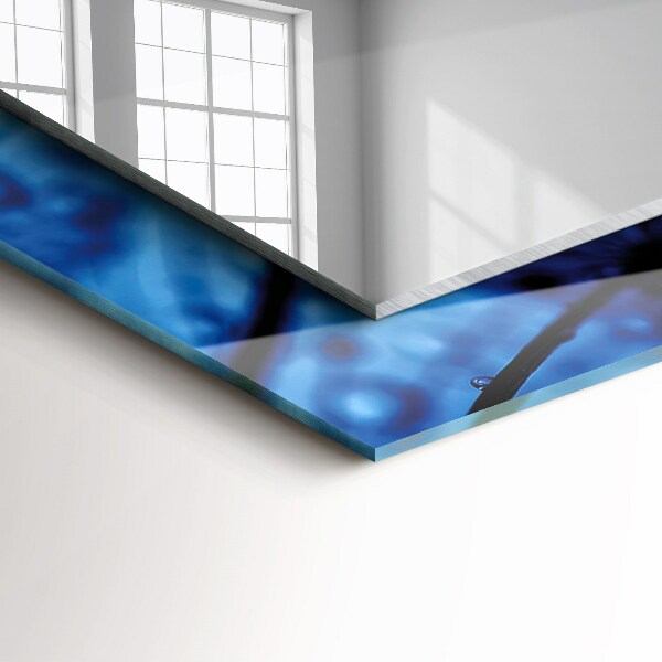 Oglinda perete decorativa Picături de apă pe evantaie