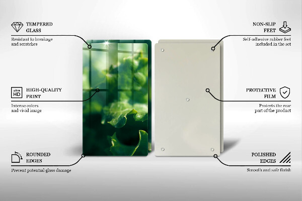 Placa din sticla protectie perete bucatarie Frunze de salata verde