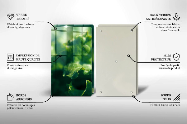 Placa din sticla protectie perete bucatarie Frunze de salata verde