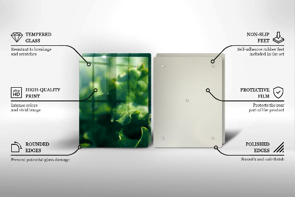 Placa din sticla protectie perete bucatarie Frunze de salata verde
