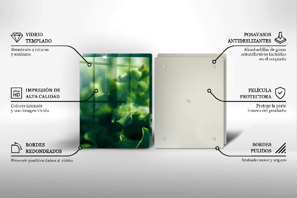 Placa din sticla protectie perete bucatarie Frunze de salata verde