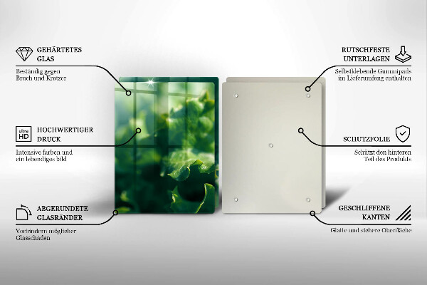 Placa din sticla protectie perete bucatarie Frunze de salata verde