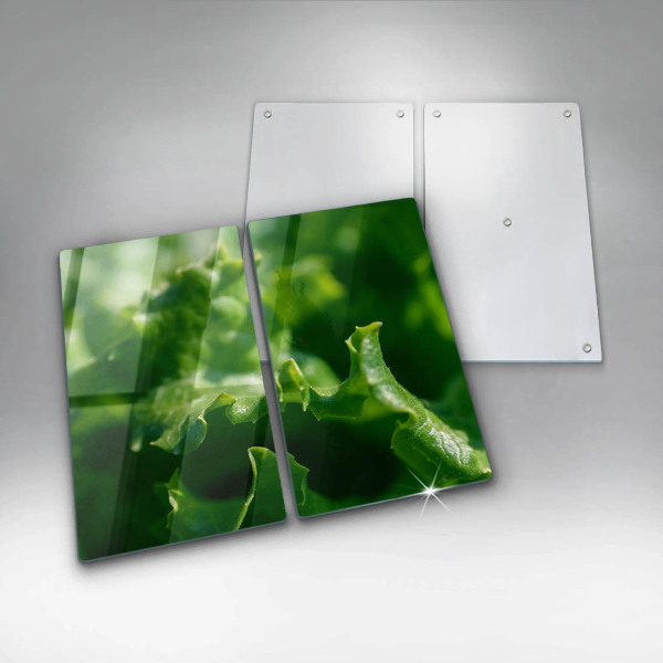 Placa din sticla protectie perete bucatarie Frunze de salata verde
