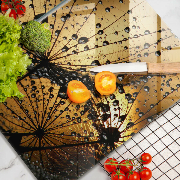 Placă sticla protectie aragaz Rouă și păpădie