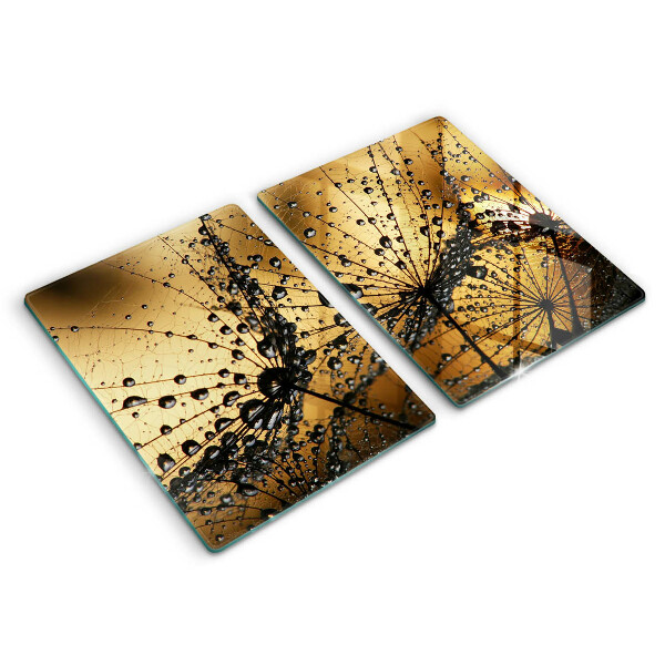 Placă sticla protectie aragaz Rouă și păpădie