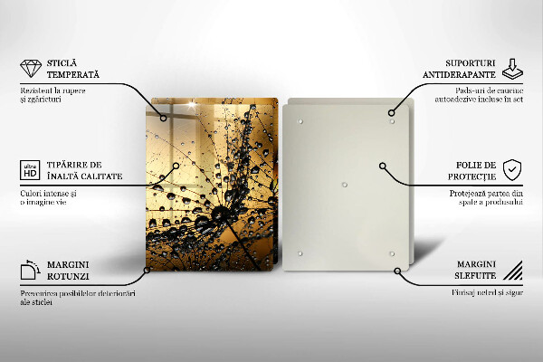 Placă sticla protectie aragaz Rouă și păpădie