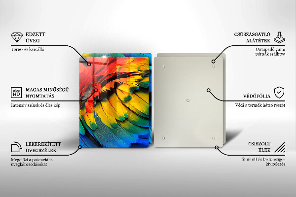 Placă sticla protectie aragaz Pene de papagal colorate