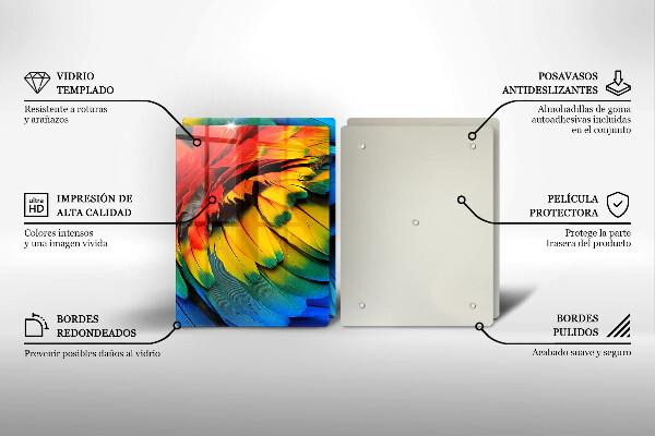 Placă sticla protectie aragaz Pene de papagal colorate