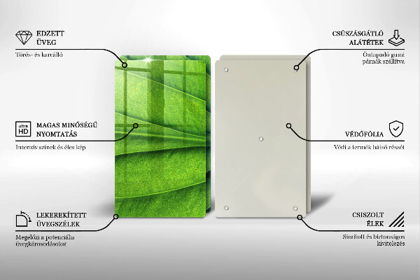 Placă sticla protectie aragaz Frunză de nervură natură
