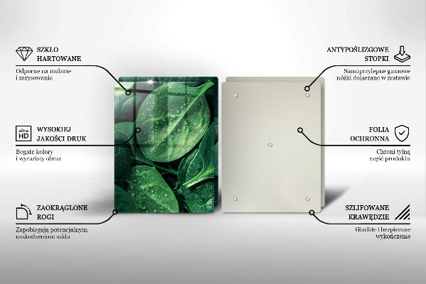 Placă sticla protectie aragaz Frunze de busuioc