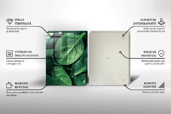 Placă sticla protectie aragaz Frunze de busuioc