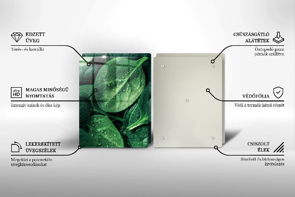 Placă sticla protectie aragaz Frunze de busuioc