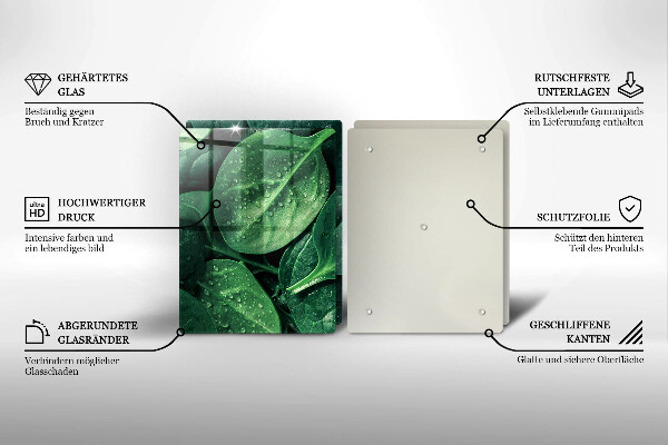 Placă sticla protectie aragaz Frunze de busuioc